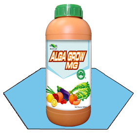 Alga Grow Mg
