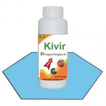 Kivir
